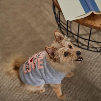 Show full view: Frisco I Love Daddy Heart Dog & Cat T-Shirt, X-Large slide 5 of 7