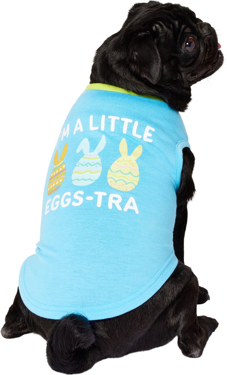 A black Pug wearing a blue I'm A Little Eggs-tra Dog T-shirt.