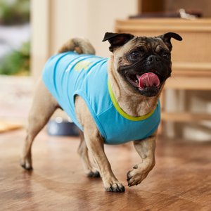 Frisco I'm a Little Eggs-tra Dog & Cat T-Shirt, Medium