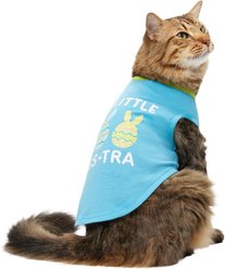 Frisco I'm a Little Eggs-tra Dog & Cat T-Shirt, Small