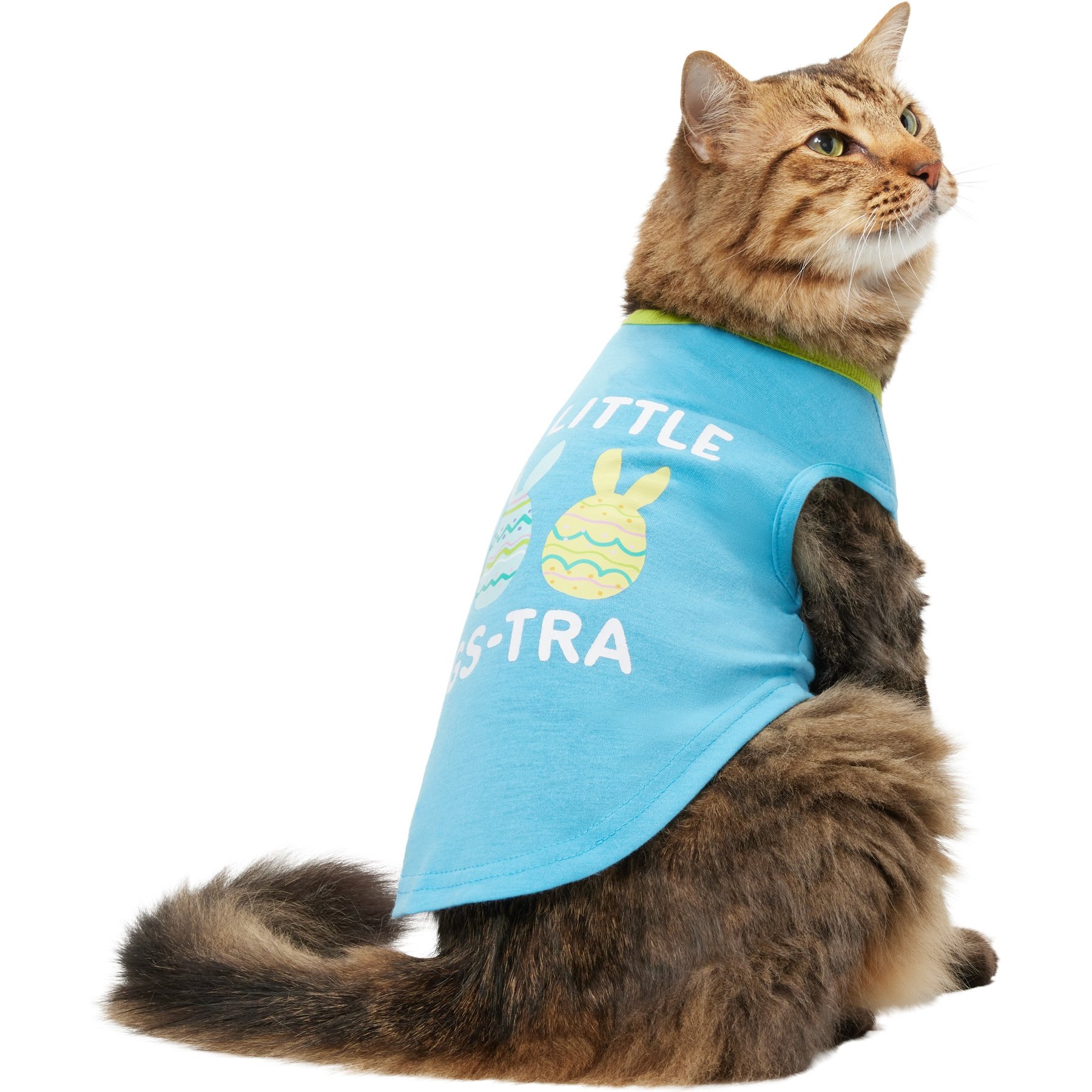 Frisco I'm a Little Eggs-tra Dog & Cat T-Shirt, Small