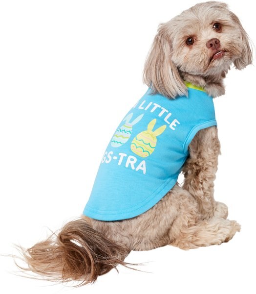 Frisco I'm a Little Eggs-tra Dog & Cat T-Shirt