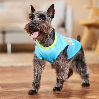 Show full view: Frisco I'm a Little Eggs-tra Dog & Cat T-Shirt, Small slide 7 of 9