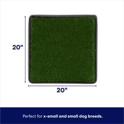 Frisco Indoor Dog Grass Potty Pad with Tray, 20 x 20-in slide 2 of 4
