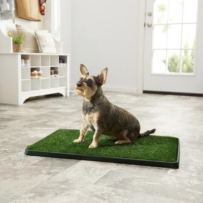Frisco Indoor Dog Grass Potty Pad with Tray