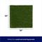 Show in main carousel: Frisco Indoor Dog Grass Potty Replacement Pad, Fits 20 x 20-in Tray slide 3 of 5