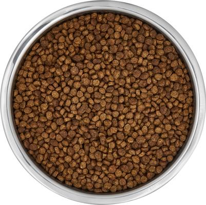 Show full view: Frisco Insulated Non-Skid Flair Stainless Steel Dog & Cat Bowl, Medium: 6 cup, 1 count slide 6 of 10