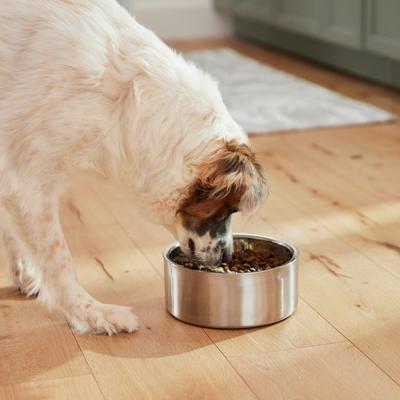 Show full view: Frisco Insulated Non-Skid Flair Stainless Steel Dog & Cat Bowl, Medium: 6 cup, 1 count slide 7 of 10