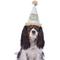 Show in main carousel: Frisco It's a Party Animal Dog & Cat Hat, Medium/Large slide 3 of 5