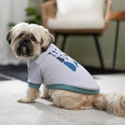 Show full view: Frisco It's My Birth Day Dog & Cat T-Shirt, XX-Large slide 5 of 7