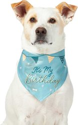 Frisco It's My Birthday Dog & Cat Bandana, Blue, Medium/Large