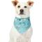 Show in main carousel: Frisco It's My Birthday Dog & Cat Bandana, Blue, Medium/Large slide 1 of 8