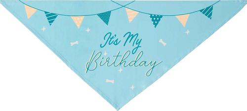 Show full view: Frisco It's My Birthday Dog & Cat Bandana, Blue, Medium/Large slide 4 of 8