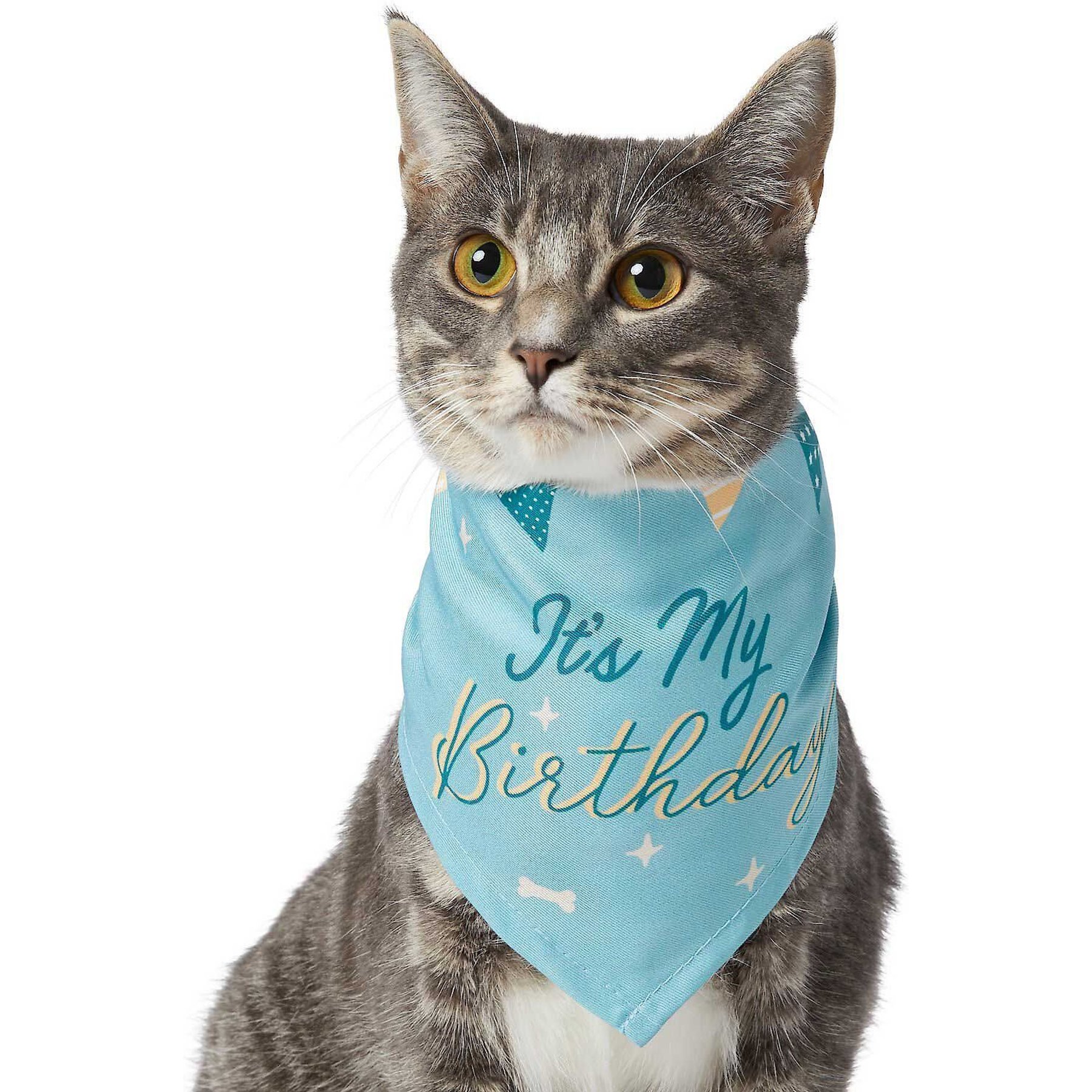 Frisco It's My Birthday Dog & Cat Bandana, Blue, X-Small/Small