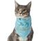 Show in main carousel: Frisco It's My Birthday Dog & Cat Bandana, Blue, X-Small/Small slide 1 of 7