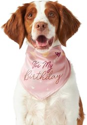 Frisco It's My Birthday Dog & Cat Bandana, Pink, Medium/Large