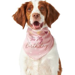 Frisco It's My Birthday Dog & Cat Bandana, Pink, Medium/Large