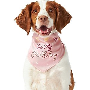 Frisco It's My Birthday Dog & Cat Bandana, Pink, Medium/Large