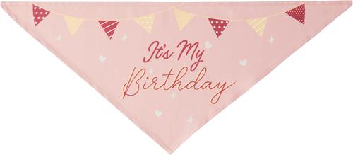 Show full view: Frisco It's My Birthday Dog & Cat Bandana, Pink, Medium/Large slide 3 of 7
