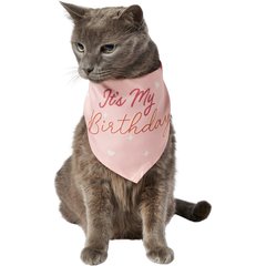 Frisco It's My Birthday Dog & Cat Bandana, Pink, X-Small/Small
