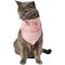Show in main carousel: Frisco It's My Birthday Dog & Cat Bandana, Pink, X-Small/Small slide 1 of 7