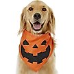 Show in main carousel: Frisco Jack O' Lantern Pumpkin Dog & Cat Bandana Costume, Medium/Large slide 1 of 7