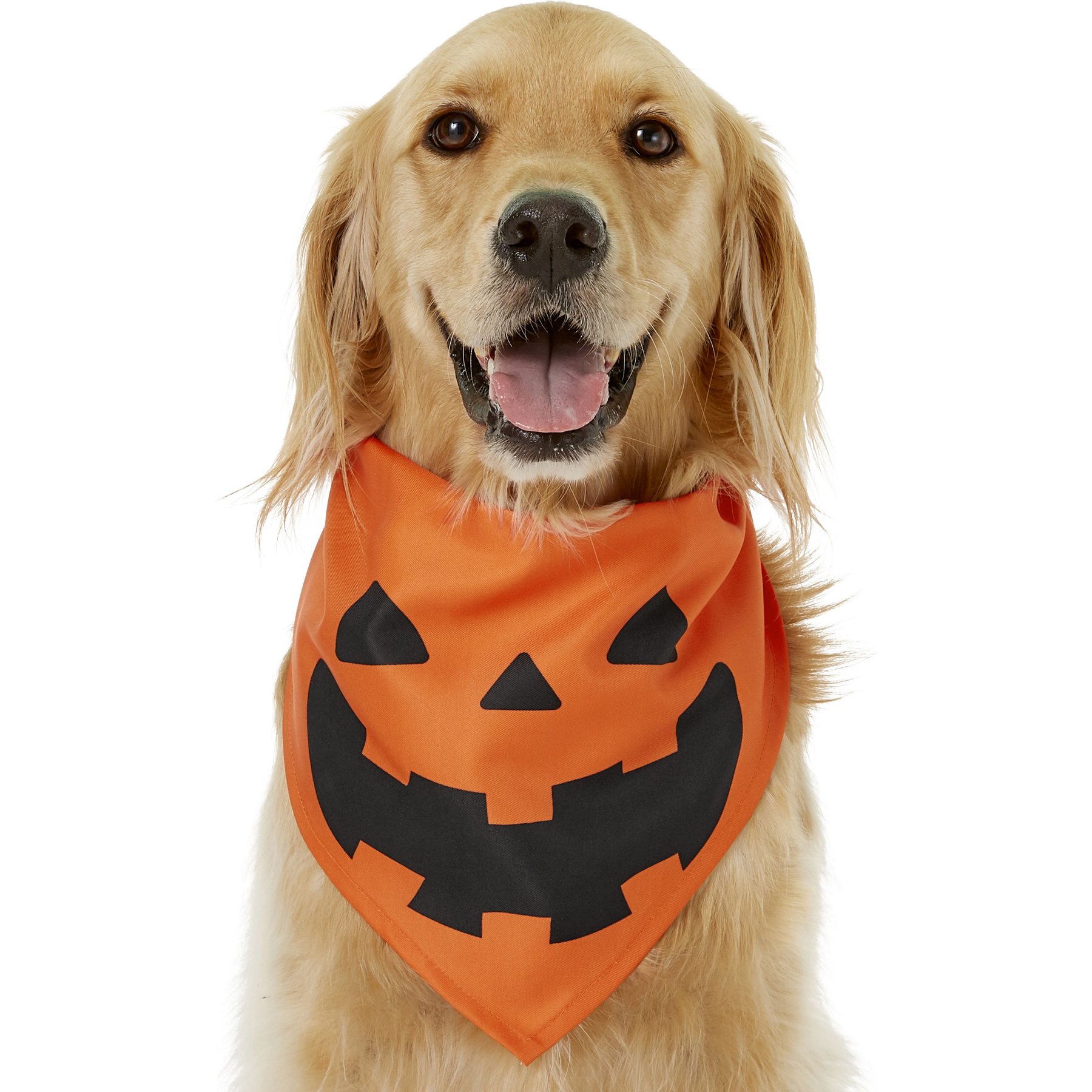 Medium/Large, Jack O' Lantern Pumpkin Dog & Cat Bandana Frisco