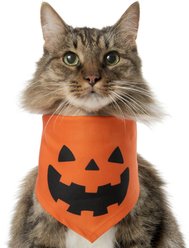 Frisco Jack O' Lantern Pumpkin Dog & Cat Bandana Costume, X-Small/Small slide 1 of 7