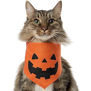 Frisco Jack O' Lantern Pumpkin Dog & Cat Bandana Costume, X-Small/Small