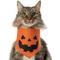 Show in main carousel: Frisco Jack O' Lantern Pumpkin Dog & Cat Bandana Costume, Fall Orange, X-Small/Small slide 1 of 8