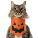 Frisco Jack O' Lantern Pumpkin Dog & Cat Bandana Costume, X-Small/Small
