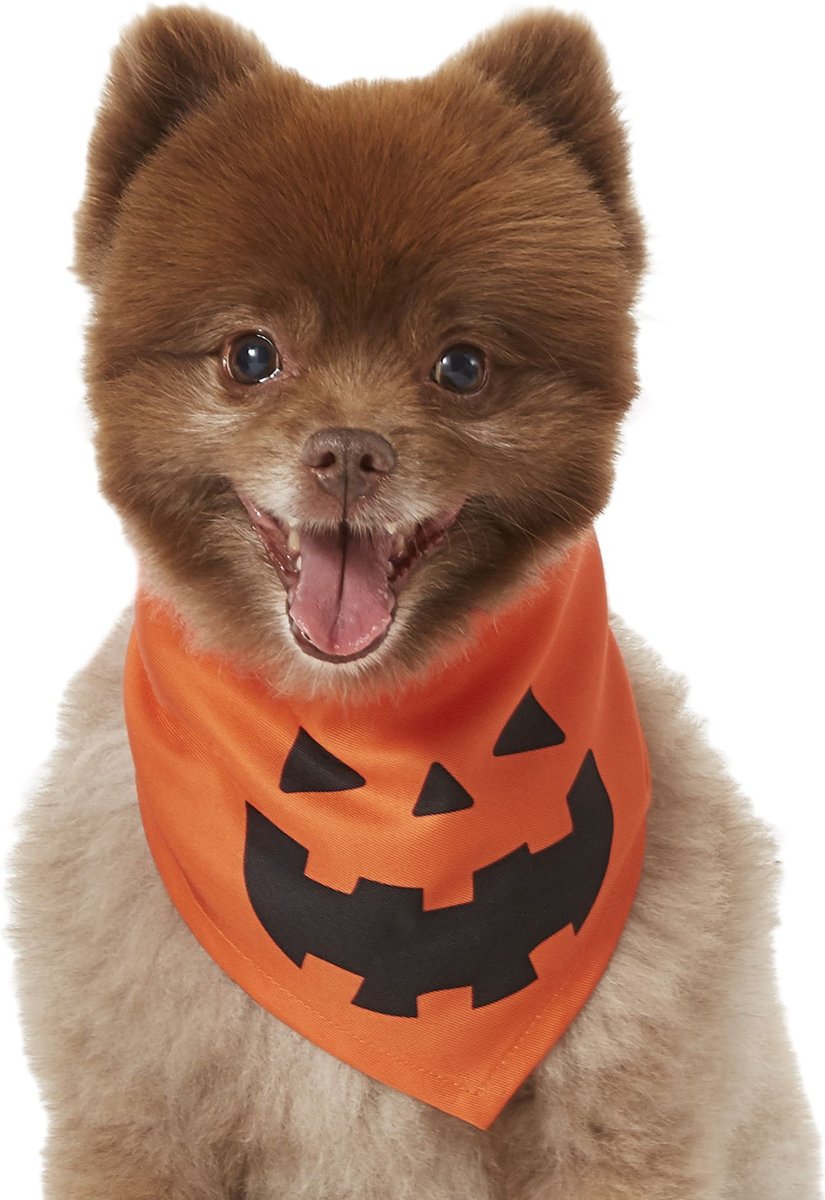 Frisco Hey There Pumpkin Dog & Cat Bandana