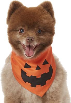 Show full view: Frisco Jack O' Lantern Pumpkin Dog & Cat Bandana Costume, Fall Orange, X-Small/Small slide 3 of 8