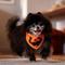 Show in main carousel: Frisco Jack O' Lantern Pumpkin Dog & Cat Bandana Costume, Fall Orange, X-Small/Small slide 5 of 8