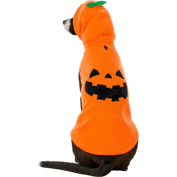 Frisco Jack O' Lantern Pumpkin Dog & Cat Hoodie Costume
