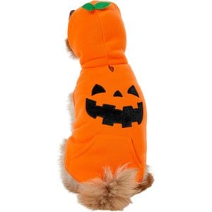 Frisco Jack O' Lantern Pumpkin Dog & Cat Hoodie Costume, Medium