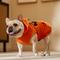 Show in main carousel: Frisco Jack O' Lantern Pumpkin Dog & Cat Hoodie Costume, Medium slide 6 of 8