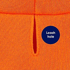 Frisco Jack O' Lantern Pumpkin Dog & Cat Hoodie Costume, Small
