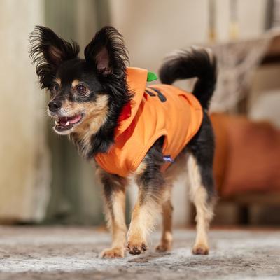 Show full view: Frisco Jack O' Lantern Pumpkin Dog & Cat Hoodie Costume, Small slide 8 of 10