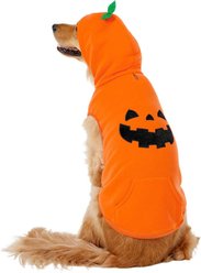 Frisco Jack O' Lantern Pumpkin Dog & Cat Hoodie Costume, XX-Large