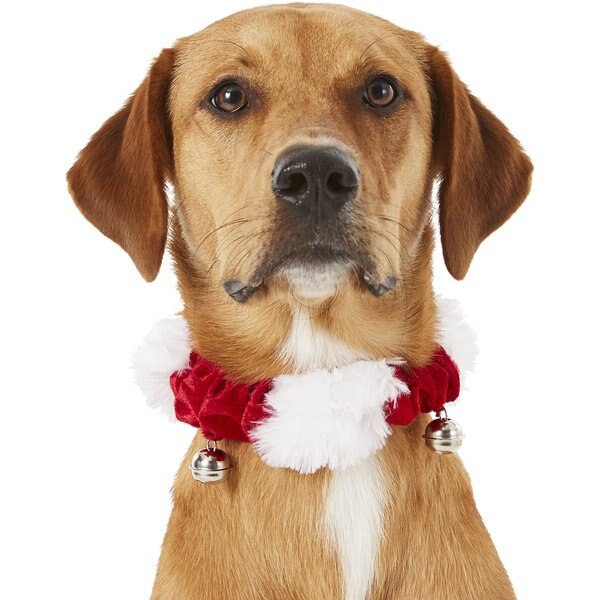Frisco Jingle Bells Cat Collar