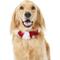 Show in main carousel: Frisco Jingle Bells Dog & Cat Christmas Collar with Bells, 1 count, X-Large/XX-Large slide 1 of 7