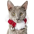 Frisco Jingle Bells Dog & Cat Christmas Collar with Bells, 1 count, X-Small/Small