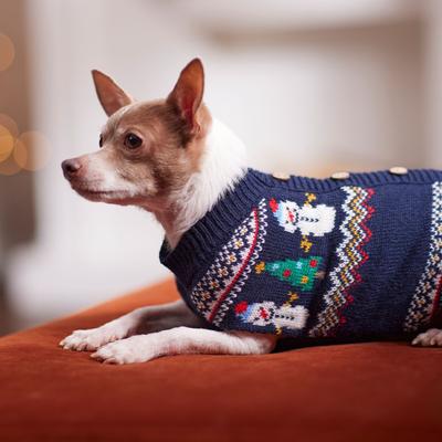 Show full view: Frisco Jolly Snowman Dog & Cat Faux Cardigan Sweater, XX-Large slide 6 of 9