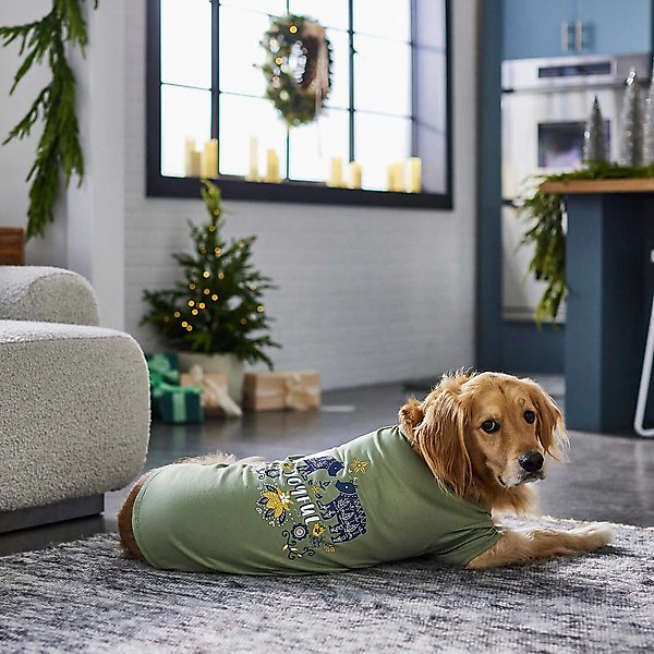 Show full view: Frisco Joyful Hygge-Inspired Dog & Cat T-shirt, X-Large slide 5 of 7