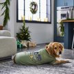 Show in main carousel: Frisco Joyful Hygge-Inspired Dog & Cat T-shirt, X-Large slide 5 of 7
