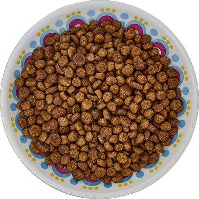 Show full view: Frisco Kaleidoscope Pattern Non-skid Ceramic Cat Dish, Blue, 0.5 cup, 1 count slide 6 of 7