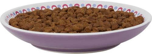 Show full view: Frisco Kaleidoscope Pattern Non-skid Ceramic Cat Dish, Purple, 0.5 cup, 1 count slide 4 of 7