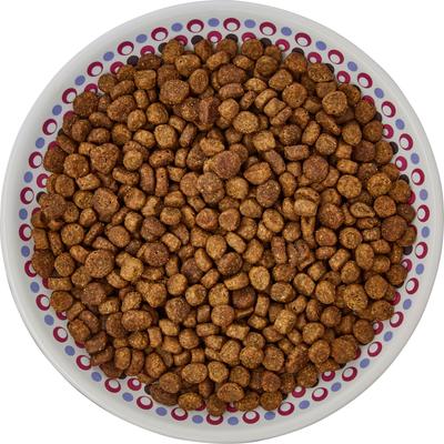 Show full view: Frisco Kaleidoscope Pattern Non-skid Ceramic Cat Dish, Purple, 0.5 cup, 1 count slide 6 of 7