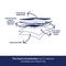 Show in main carousel: Frisco Large Eco-Conscious Dog Training & Potty Pads, 22 x 23-in, Unscented, 50 count slide 6 of 10